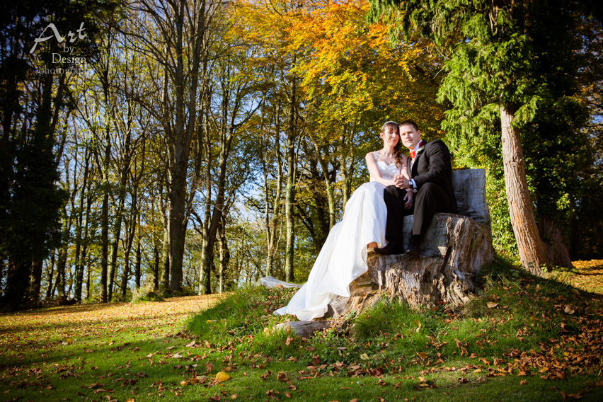 wedding photographer coed-y-mwstwr