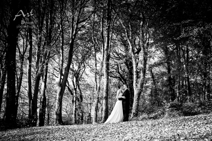 wedding photographer coed-y-mwstwr