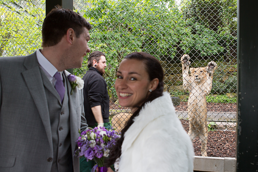 wedding photographer bristol zoo