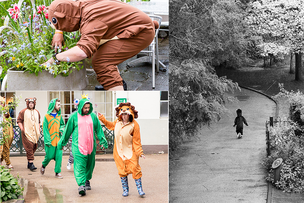 wedding photographer bristol zoo