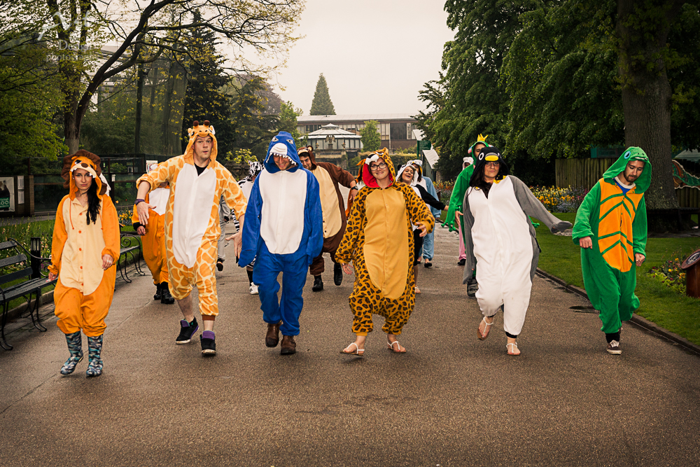 wedding photographer bristol zoo