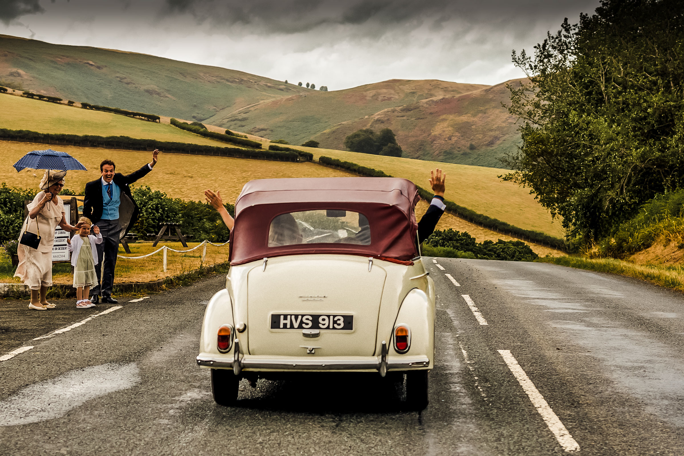 Wedding beetle - DIY wedding wales