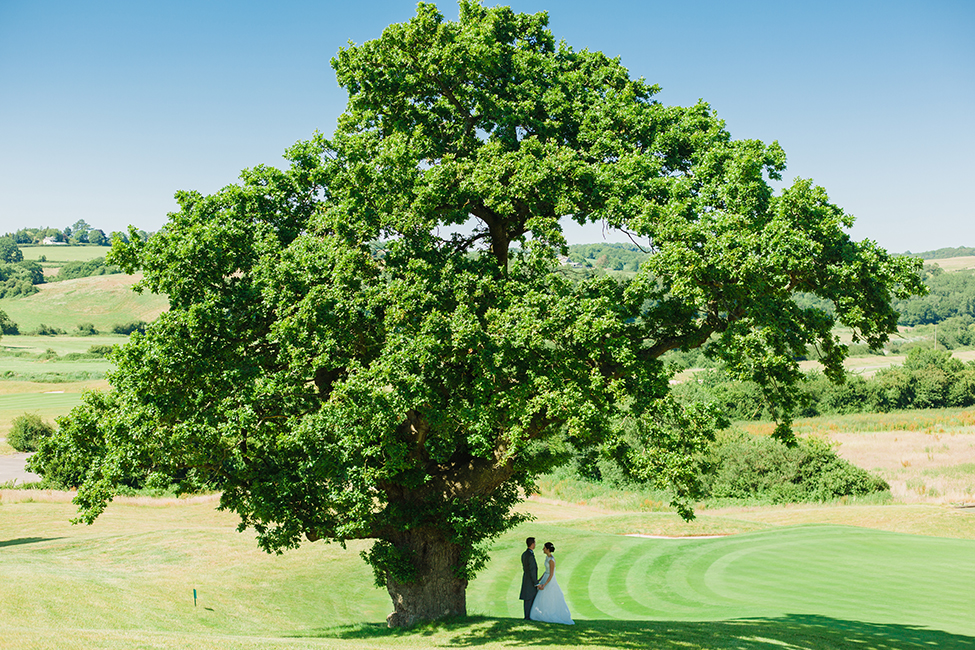 wedding photographers celtic manor