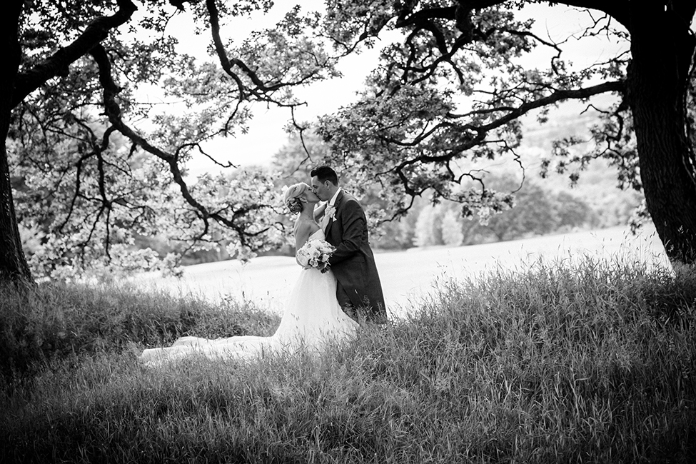 Wedding Photography Bryn Meadows