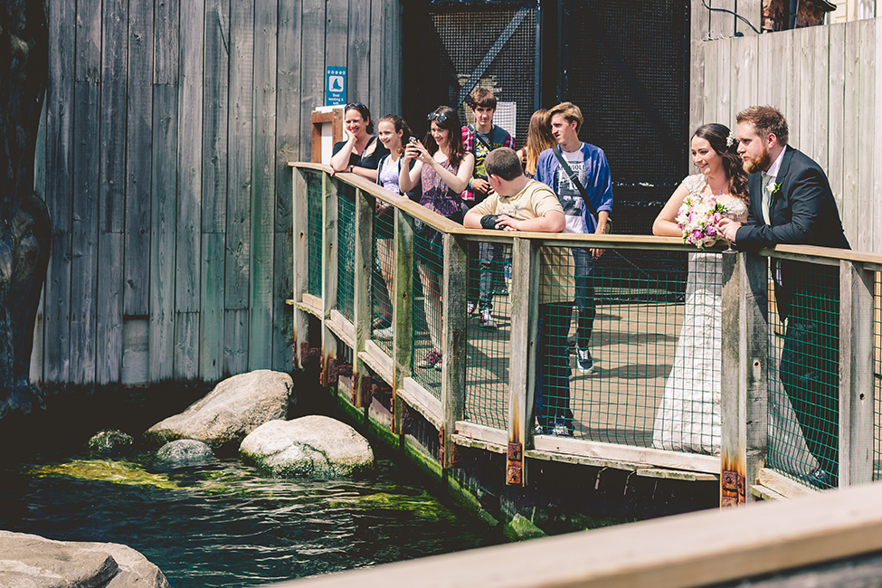 wedding photography bristol zoo