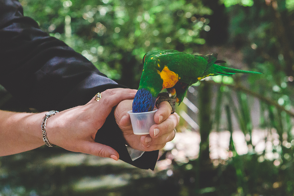 wedding photography bristol zoo