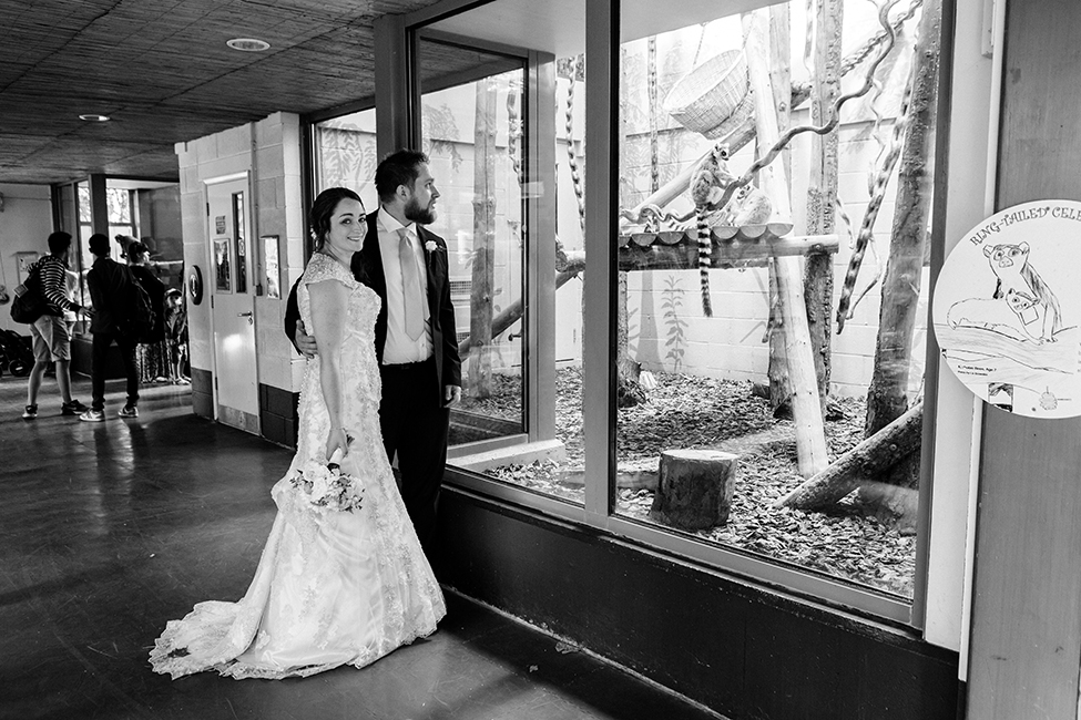 wedding photography bristol zoo