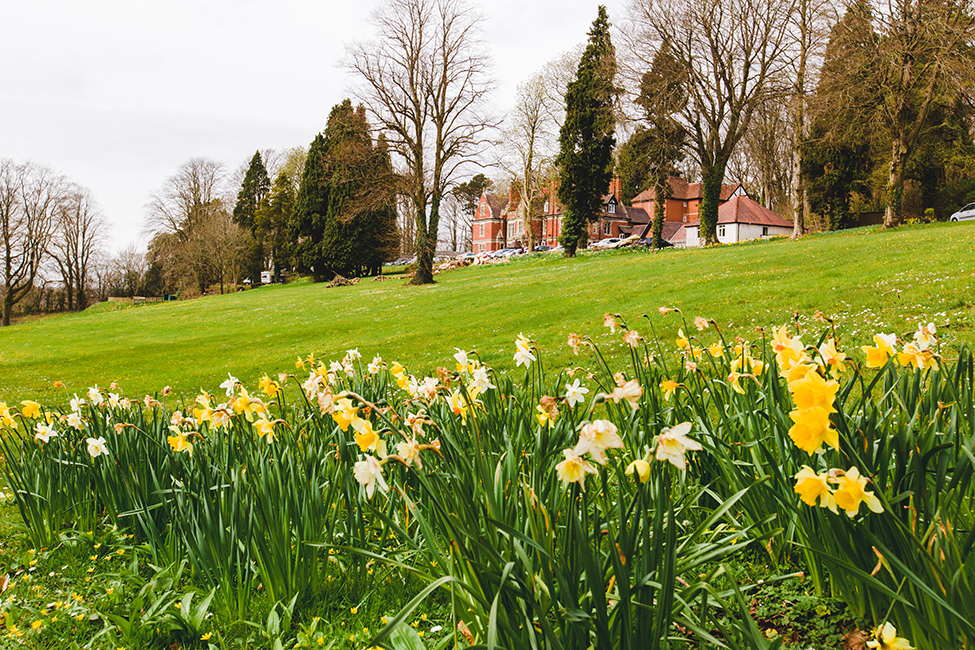 wedding photography coed-y-mwstwr hotel