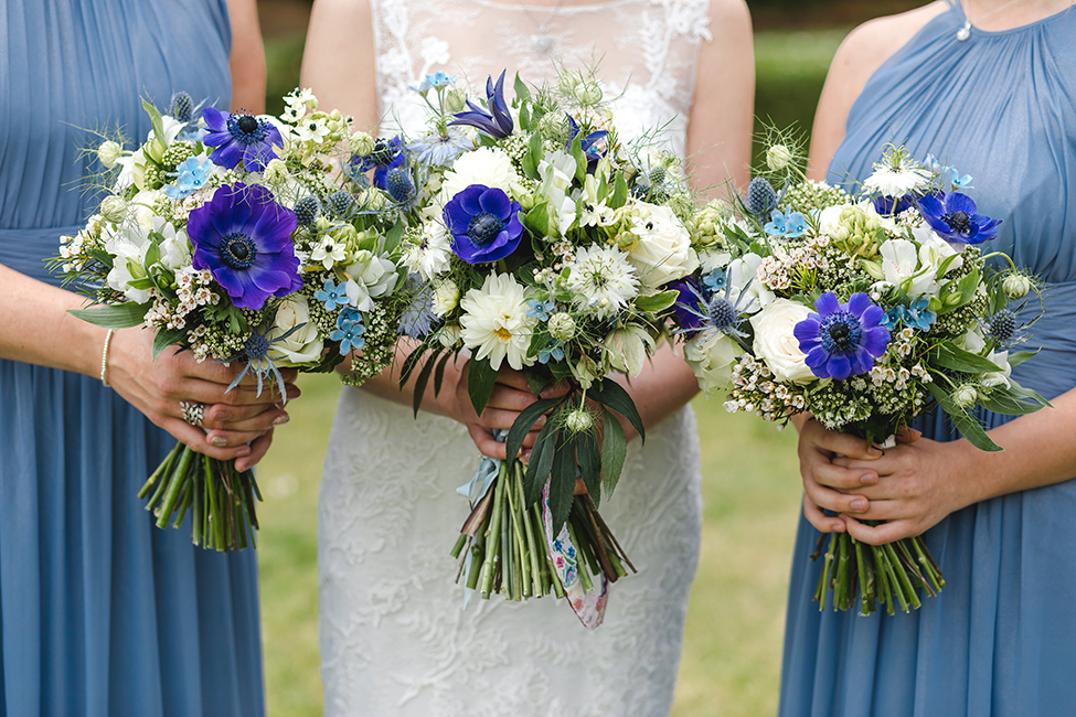 court colman wedding photography