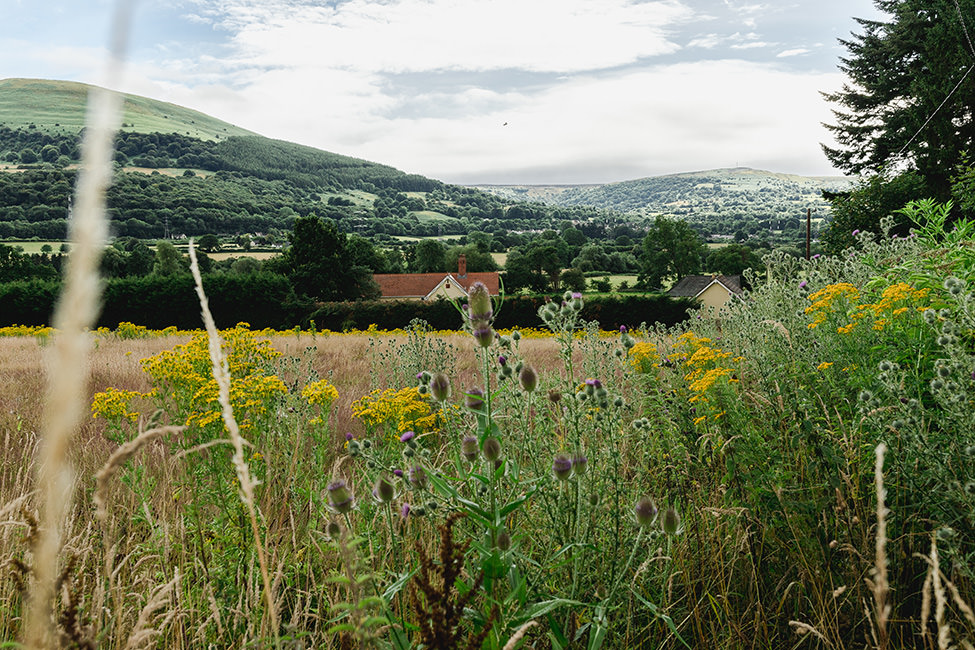 boho wedding south wales