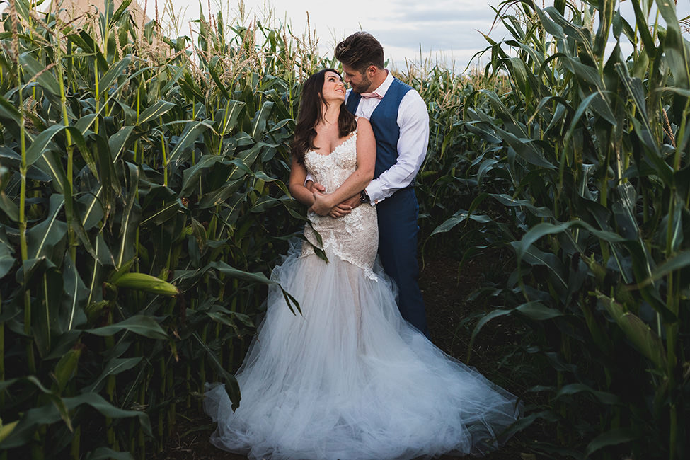 bride and groom in cornfield