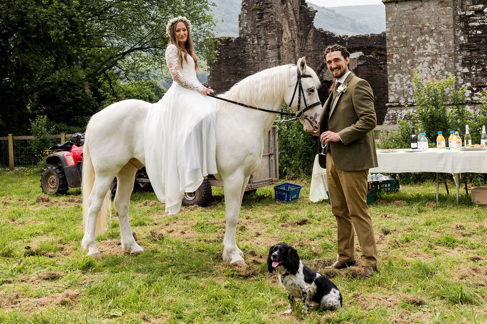 Boho Farm Wedding Wales - Dogs and Horse at Wedding