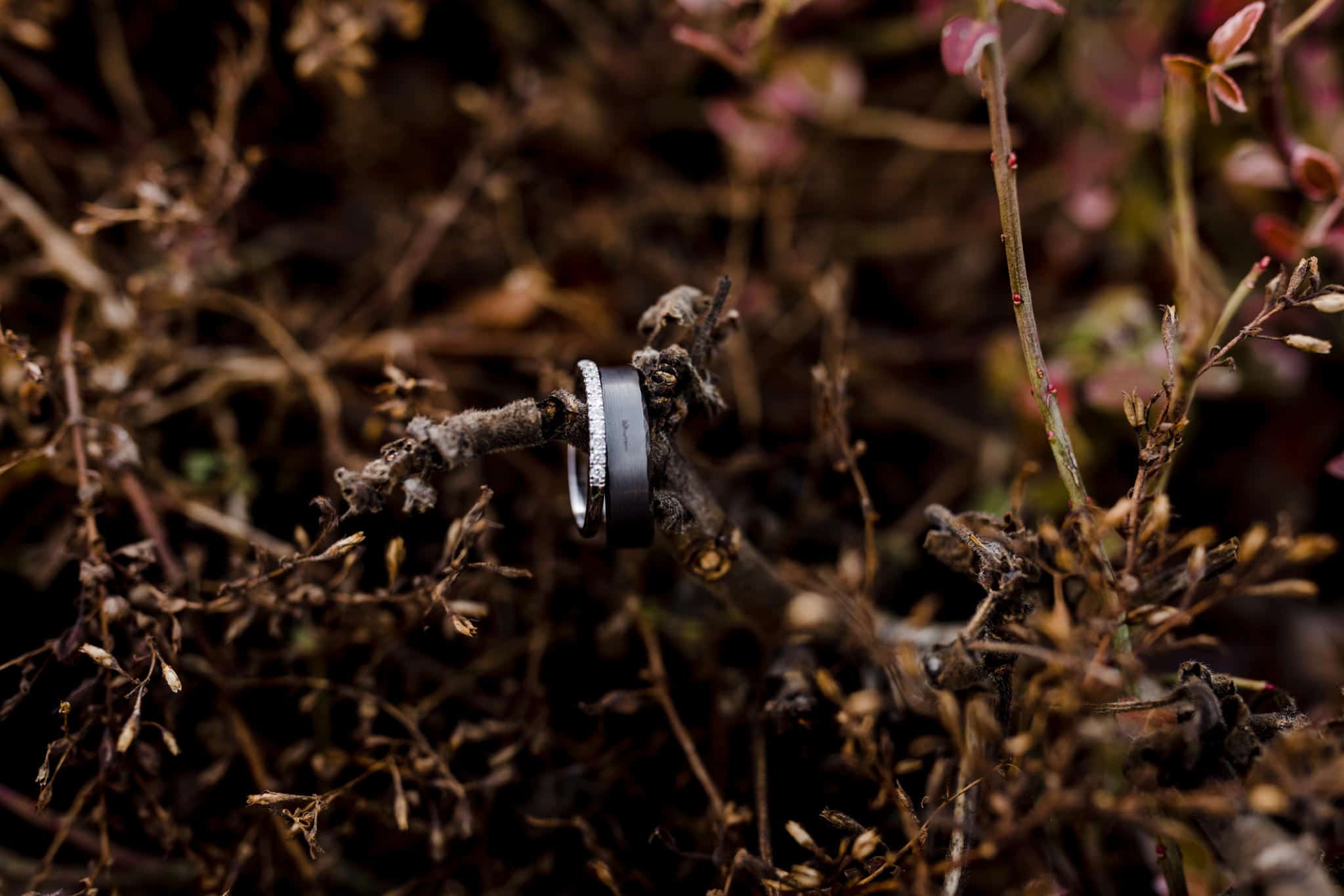 Rosedew Farm wedding Photography-23- Art by Design