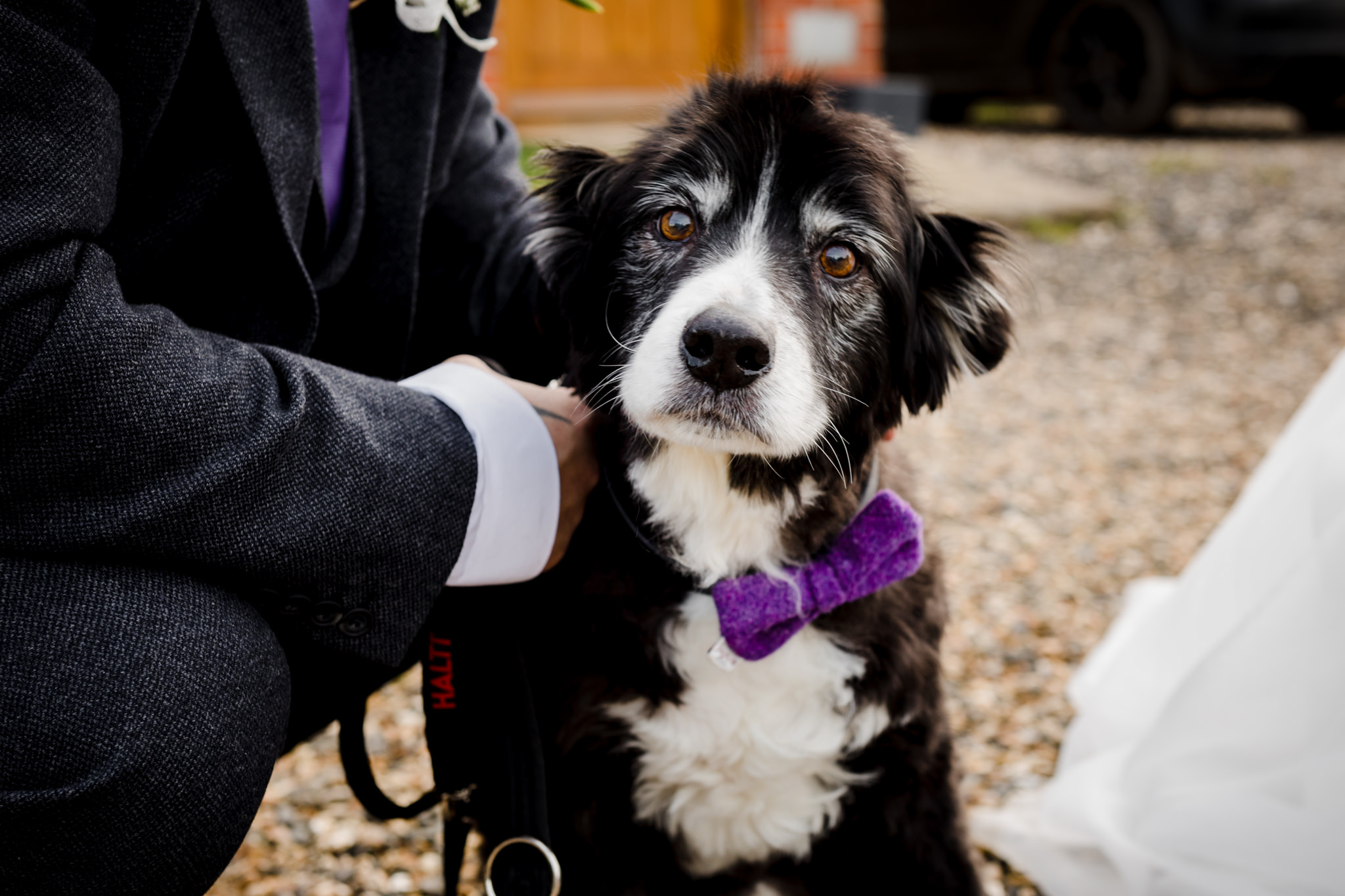 Rosedew Farm wedding Photography-59-Art by Design