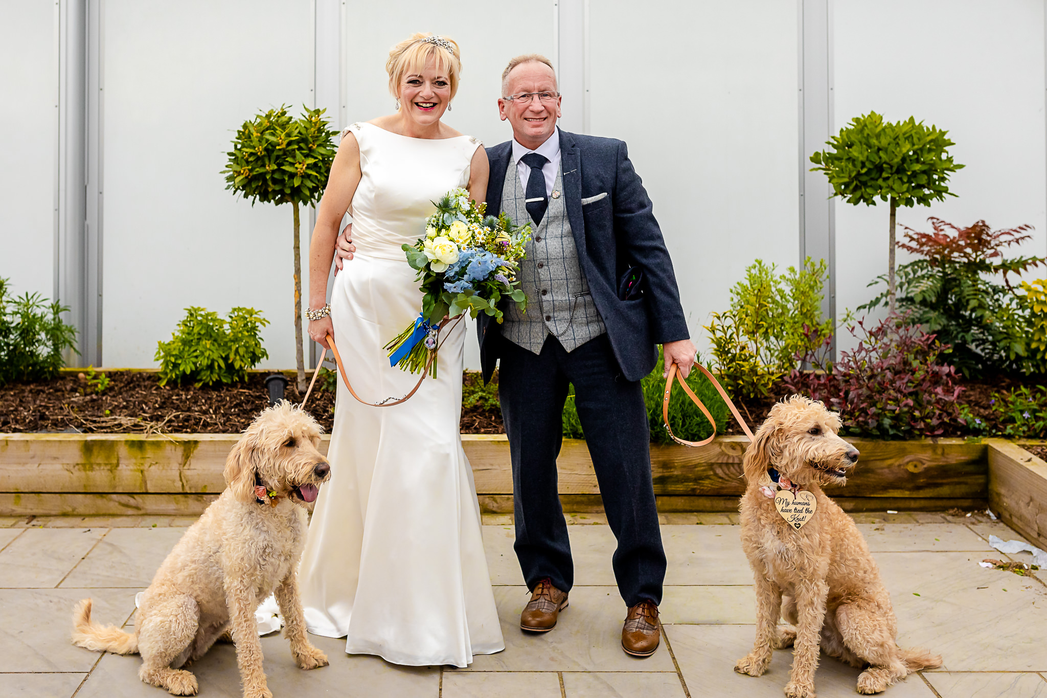 Dogs at Weddings - Art by Design Photography