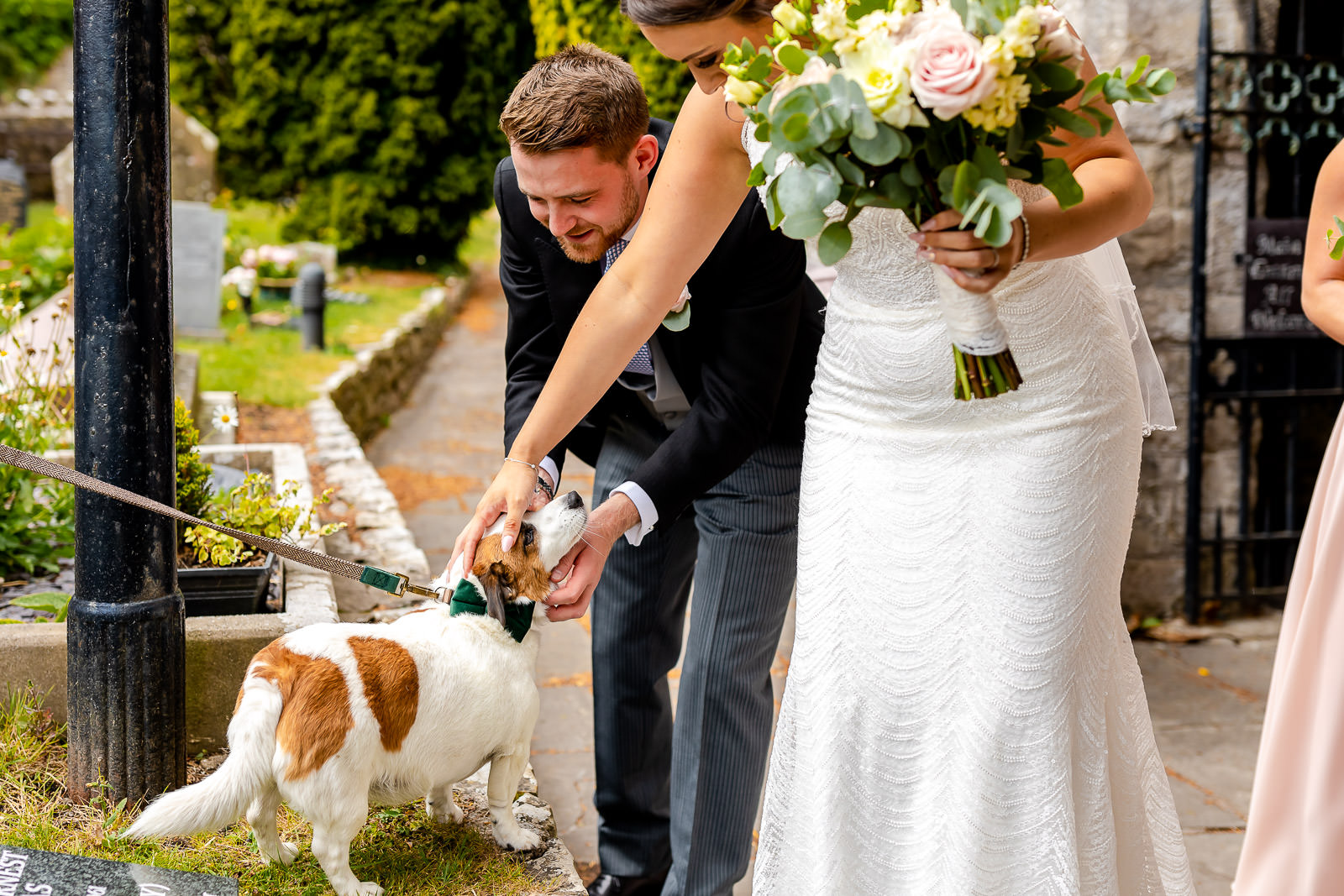 Dogs at Weddings - Congratulating the bride and groom 