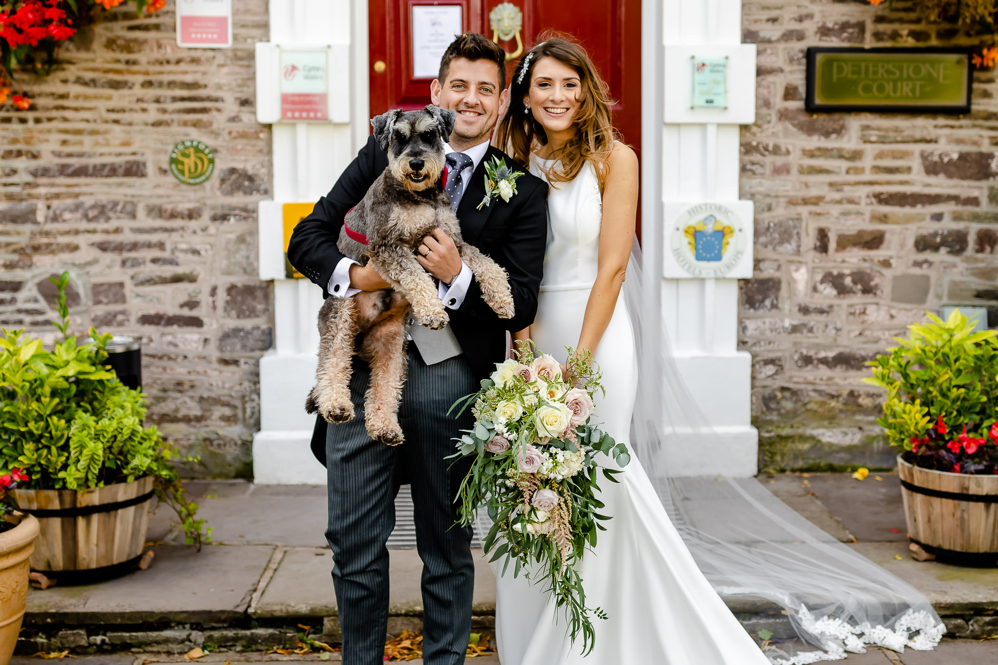 Dog with bride and groom at Peterstone Court