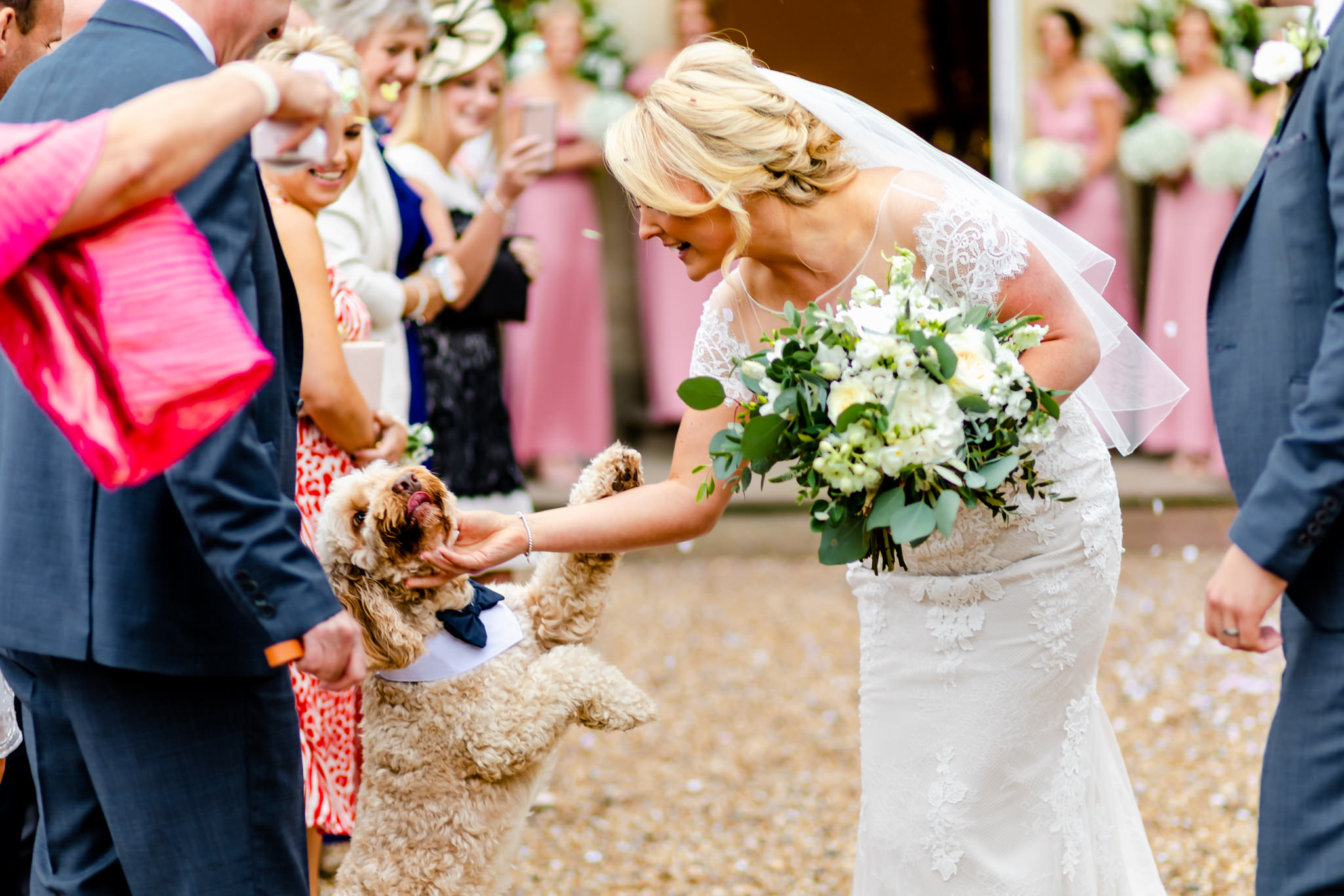 Dogs at Weddings - Congratulating the bride at St Tewdrics House