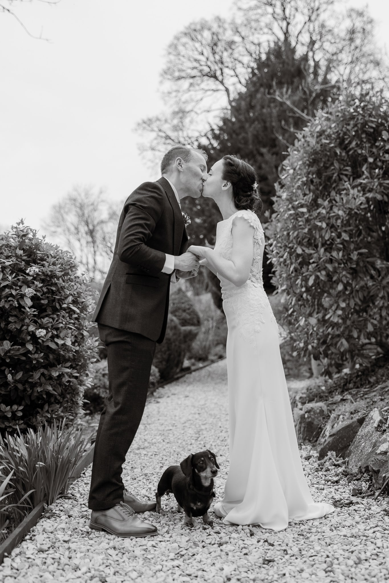 Peterstone Court wedding - Bride, Groom and Dog