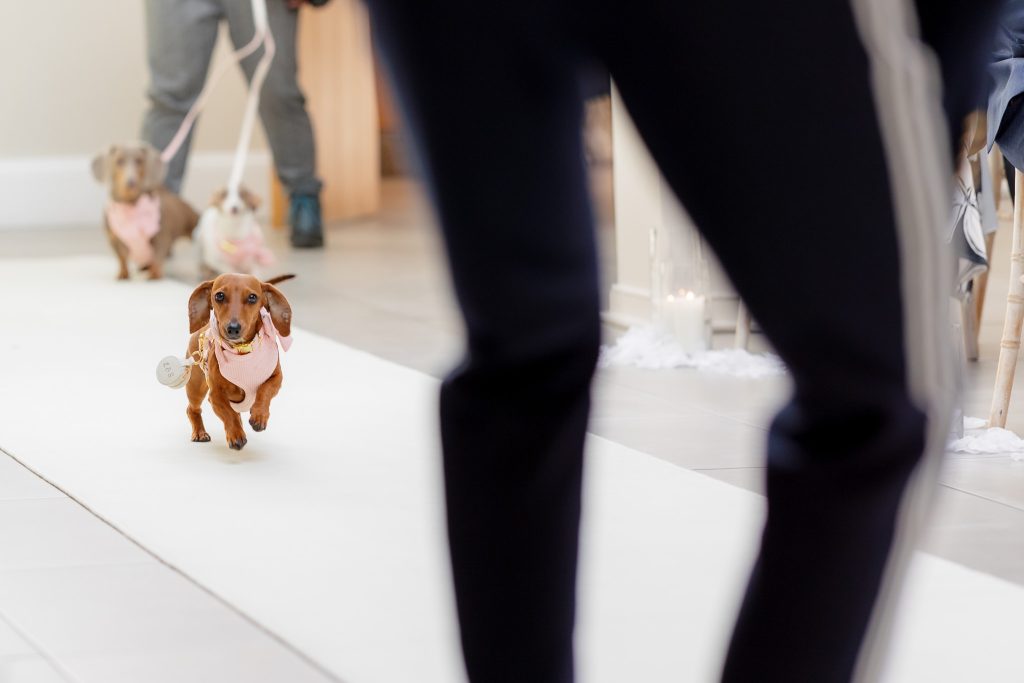 St Tewdrics House Wedding Photographer