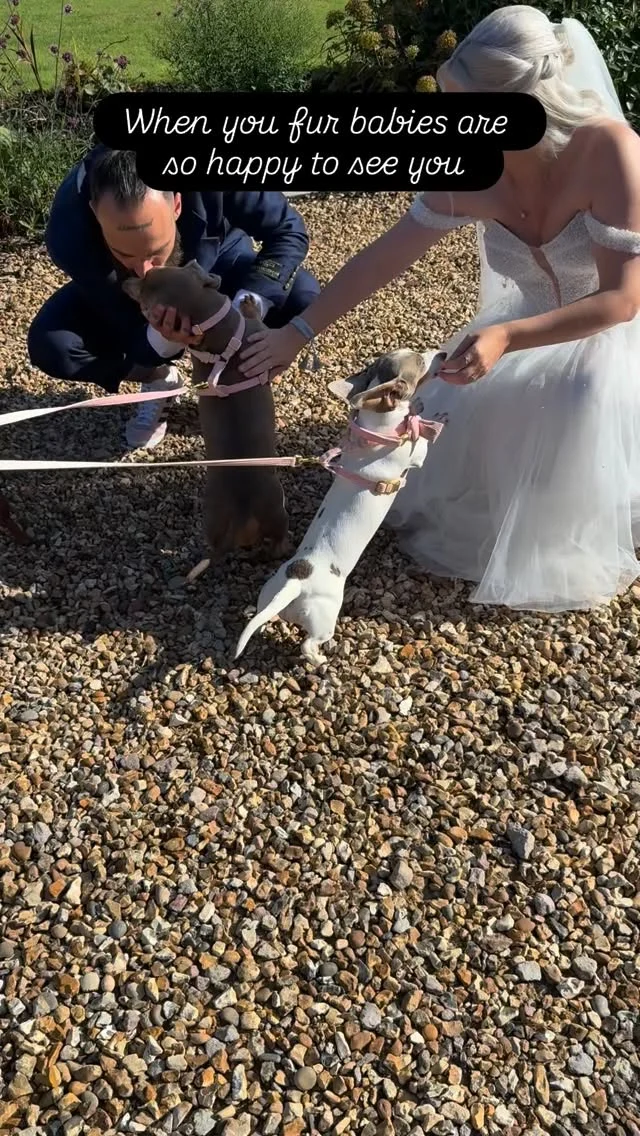 Include your fur babies in your wedding

#weddingdogs #dauchshundsofinstagram #sausagedogs #dauchshund #weddingphotography