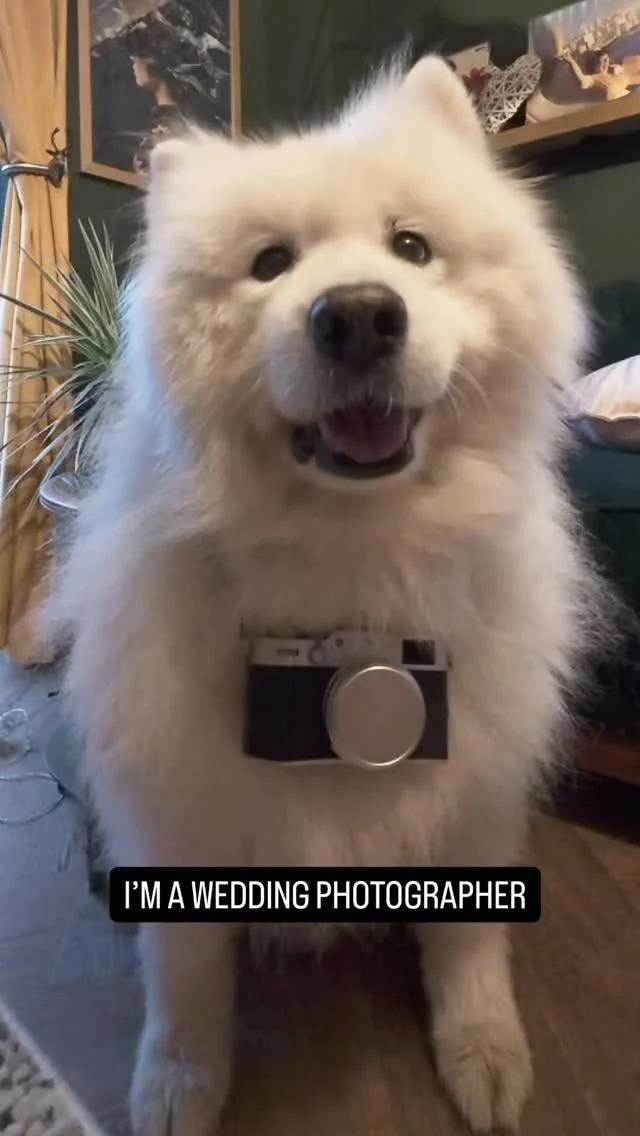 Sammi or me as the best wedding photographer?

2025 has been another amazing year for weddings, proposals and family photography. I want to thank everyone who has trusted me to capture their story.

2026 is looking like it’s going to be a busy year with a trend in smaller intimate weddings at cool venues. I have weddings at venues all across Wales such as @manorbiercastle, @rosedewfarm, @bryngarwhouse, @talljohnswedding, @santffraedhouse, @candlestonwoods, @fairyhill, @pencoedhouse, @llanerchweddings and so many more.

There is still lots of dates available for 2026/2027 but don’t leave it too late if you are thinking of booking me as dates do get booked up years in advance.

Enjoy my 2025 highlights x

South Wales Wedding Photographer | Wedding Photographer Wales | Wedding Photography for the Lovers & Souls

#weddingphotographerwales #weddingphotography #weddingphotography2025