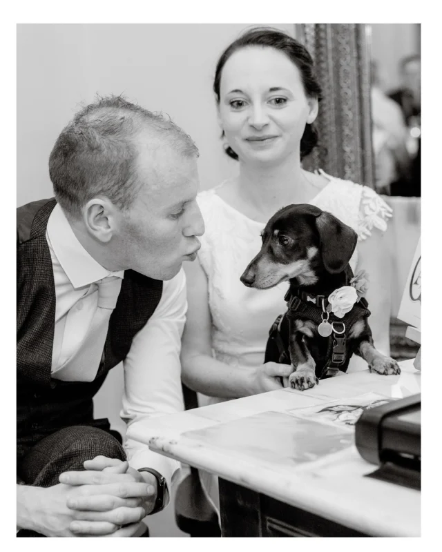 When your sausage dog takes all the limelight 

Dogs at Weddings | Peterstone Court Wedding | Peterstone Court Wedding Photographer 

#weddingsinwales #peterstonecourtweddingphotographer