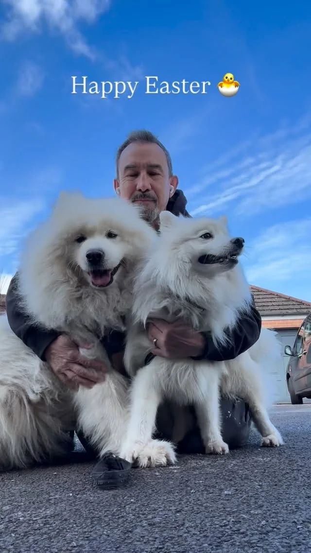 Happy Easter. It’s a bit chilly but the sun is out here in Wales. If you’re getting married today then you are lucky buggers getting this weather on a bank holiday weekend. 

So from me, Sammi and Kato, have a fab Easter break.

#weddingphotographerwales #samoyed #japanesespitz